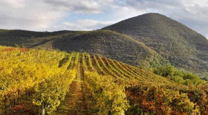 Colli Euganei… Vulcaniche Emozioni