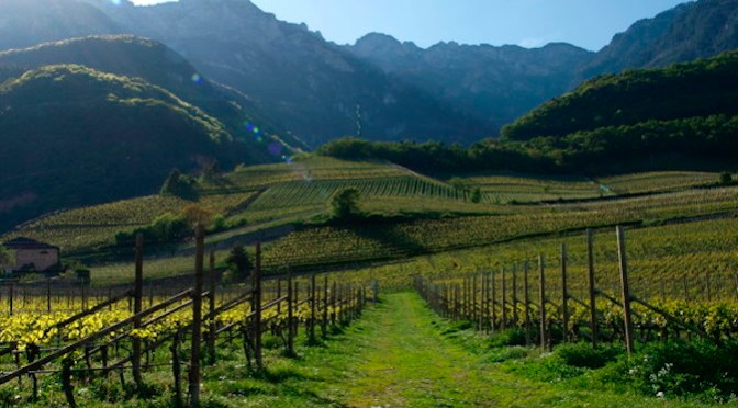 I vignaioli dell’Alto Adige nella capitale