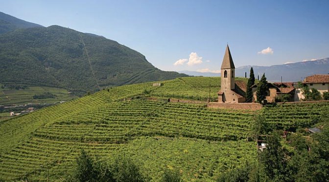Alto Adige d’autore: Cantina di Bolzano