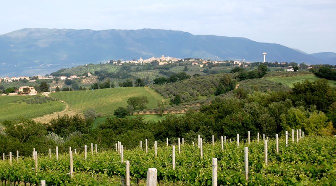 I Bianchi contorni del Sagrantino