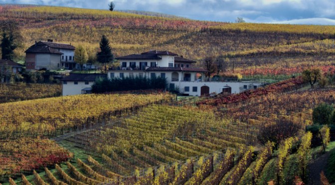 Gli splendidi cru della cantina Sottimano