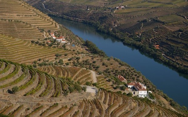 Porto, formaggi erborinati e cioccolato