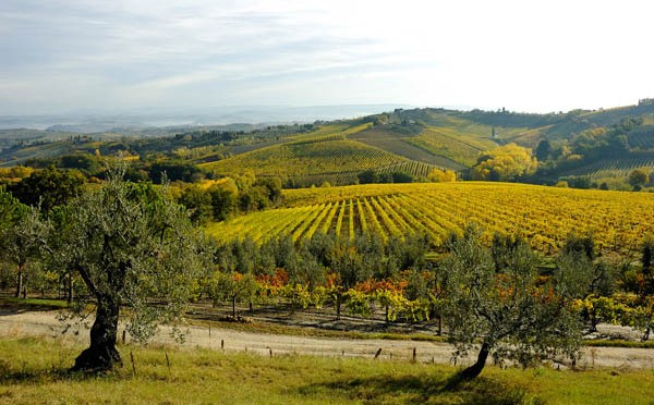 Entusiasmanti sorsi di Toscana