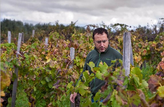 Sicilia d’autore: il Nerello Mascalese di Girolamo Russo