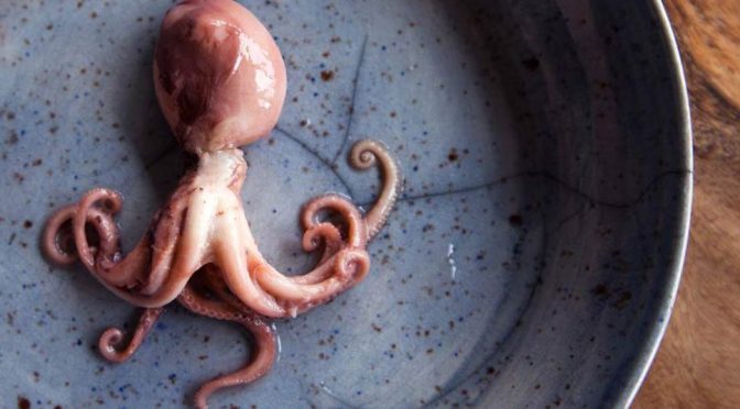 le prelibatezze ittiche di Manaide e le gemme vinicole di Terredora e della Ferghettina