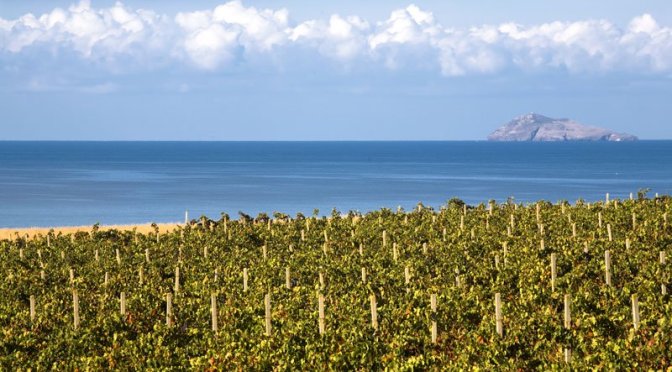 Scarlatte emozioni di Sardegna. I capolavori di Santadi e di Agricola Punica