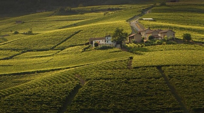 Incantevoli sorsi di Langhe e Monferrato